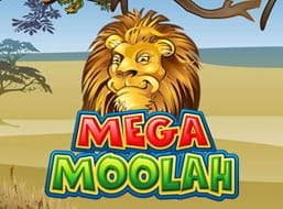 Microgaming Jackpot Mega Moolah